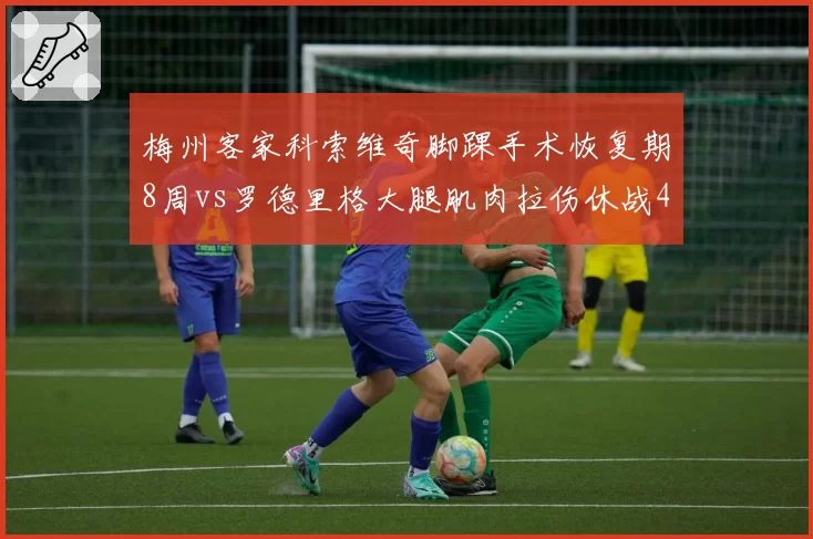 梅州客家科索维奇脚踝手术恢复期8周vs罗德里格大腿肌肉拉伤休战4周，外援伤病严重程度对比