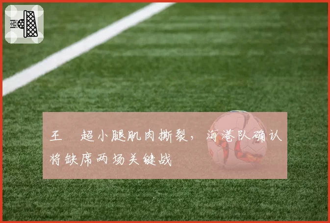 王燊超小腿肌肉撕裂，海港队确认将缺席两场关键战