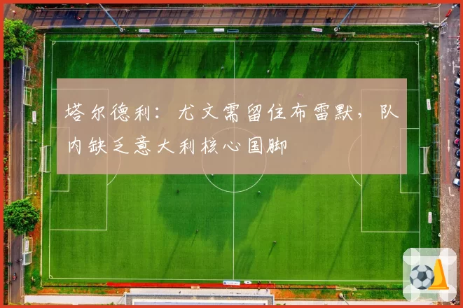 塔尔德利：尤文需留住布雷默，队内缺乏意大利核心国脚