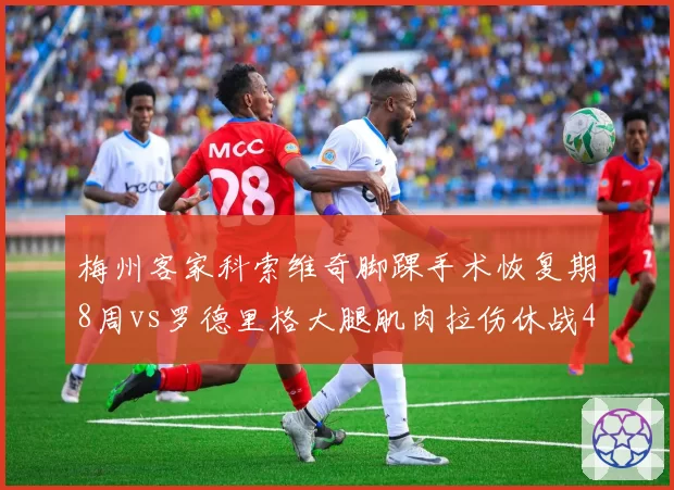 梅州客家科索维奇脚踝手术恢复期8周vs罗德里格大腿肌肉拉伤休战4周，外援伤病严重程度对比